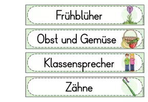 Vorschau - Anderer Materialtyp - Etiketten für Maxibriefkartons - Sachunterricht (Klasse 1-4) - Seite 3