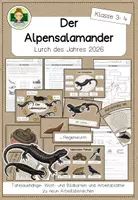 Vorschau - Stationenlernen - Der Alpensalamander: Unterrichtsmaterial zum Lurch des Jahres 2026 (Grundschule Sachunterricht Klasse 3-4) - Seite 1