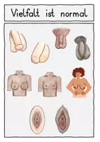 Vorschau - Arbeitsblätter - Sexualerziehung, Pubertät, sonderpädagogische Förderung - Seite 3