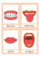 Προεπισκόπηση - Flashcards - Τα μέρη του σώματος - Εκπαιδευτικές Κάρτες - Σελίδα 1