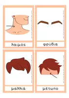 Προεπισκόπηση - Flashcards - Τα μέρη του σώματος - Εκπαιδευτικές Κάρτες - Σελίδα 3