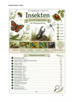 Vorschau - Stundenentwürfe - Insekten, Forschungsprojekt mit Plakatgestaltung - Seite 1