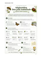 Vorschau - Stundenentwürfe - Insekten, Forschungsprojekt mit Plakatgestaltung - Seite 3