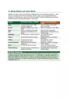 Vorschau - Unterrichtsreihen - Effi Briest & Kabale und Liebe im Vergleich: BW-Abitur Sternchenthema-Verbindung | Effi vs. Luise | Realismus vs. Sturm und Drang | Muster-Abituraufgaben | auch für BY, NRW nutzbar - Seite 1