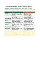 Vorschau - Unterrichtsreihen - Effi Briest & Kabale und Liebe im Vergleich: BW-Abitur Sternchenthema-Verbindung | Effi vs. Luise | Realismus vs. Sturm und Drang | Muster-Abituraufgaben | auch für BY, NRW nutzbar - Seite 3
