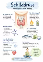 Vorschau - Arbeitsblätter - Lernposter + AB mit Fragen zum Thema "Schilddrüse" + Lösungsblatt + Mindmap + Infografik - Deckblatt