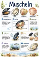 Vorschau - Arbeitsblätter - Lernposter + Arbeitsblatt "Muscheln" + Onlineübung & MP3 + Mindmap + Infografiken - Deckblatt