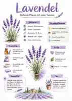 Vorschau - Arbeitsblätter - Lernposter + Arbeitsblätter zum Thema "Lavendel" + Lösung & MP3 + Mindmap + Infografik - Deckblatt
