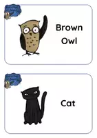 Vista previa - Decoración del aula - Brown Owls Birthday Tea - FLASHCARDS and WORDCARDS - página 1