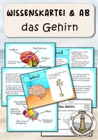 Vorschau - Arbeitsblätter - Gehirn des Menschen Wissenskartei - Deckblatt
