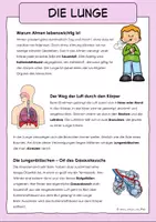 Vorschau - Arbeitsblätter - Atmung des Menschen Arbeitsblätter - Seite 1