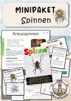 Vorschau - Arbeitsblätter - Spinnen & Kreuzspinnen Materialpaket - Deckblatt