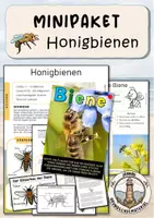 Vorschau - Arbeitsblätter - Honigbienen , Wildbienen & Bienen - Seite 1