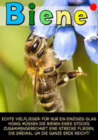 Vorschau - Arbeitsblätter - Honigbienen , Wildbienen & Bienen - Seite 2