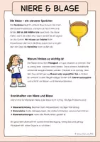 Vorschau - Arbeitsblätter - Organe des Menschen Klasse 4–6 – Materialpaket Sachunterricht & Biologie – Herz, Lunge, Gehirn, Magen, Darm & weitere Organe – Aufbau & Funktionen – Arbeitsblätter, Sachtexte & Lernmaterial - Seite 3