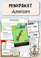 Vorschau - Arbeitsblätter - Ameisen Arbeitsblätter Materialpaket - Deckblatt