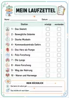Vorschau - Stationenlernen - Der menschliche Körper: 10 Lernstationen für Klasse 3/4 - Seite 3
