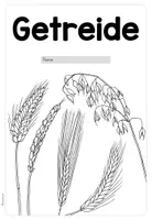 Vorschau - Unterrichtsreihen - Getreide - Arbeitsblätter für die 3./.4. Klasse (+DAZ) - Seite 2