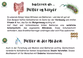 Vorschau - Arbeitsblätter - Bedeutung von Bakterien - Infotexte für Raum, Laufdiktat - Deckblatt