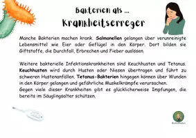 Vorschau - Arbeitsblätter - Bedeutung von Bakterien - Infotexte für Raum, Laufdiktat - Seite 1