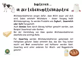 Vorschau - Arbeitsblätter - Bedeutung von Bakterien - Infotexte für Raum, Laufdiktat - Seite 2