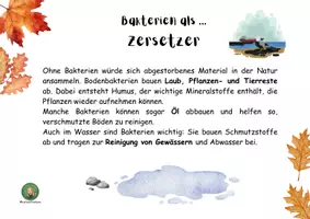 Vorschau - Arbeitsblätter - Bedeutung von Bakterien - Infotexte für Raum, Laufdiktat - Seite 3