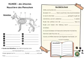 Vorschau - Arbeitsblätter - Der Hund - Körperbau, Domestikation vom Wolf, Verhaltensweisen, Tätigkeitstiere, Merkmale Wirbeltier - Deckblatt