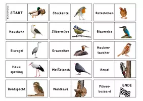 Vorschau - Spiele - Domino Vogelarten - Deckblatt