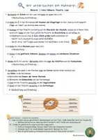 Vorschau - Experimente - Hühnerei untersuchen und betrachten - Anleitung (differenziert) - Deckblatt