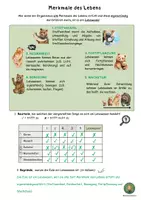 Vorschau - Arbeitsblätter - Merkmale des Lebens – Fantasiereise, Arbeitsblatt und Lösung (Kennzeichen des Lebens) - Seite 1