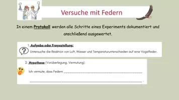 Vorschau - Arbeitsblätter - Versuche mit Federn - Protokoll und Präsentation - Seite 1