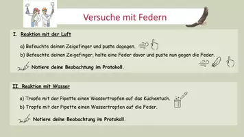 Vorschau - Arbeitsblätter - Versuche mit Federn - Protokoll und Präsentation - Seite 2