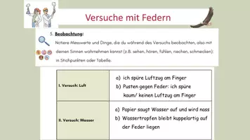 Vorschau - Arbeitsblätter - Versuche mit Federn - Protokoll und Präsentation - Seite 3