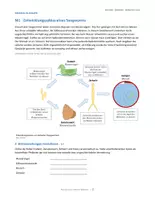 Vorschau - Arbeitsblätter - Arbeitsblatt_Parasitismus_Zerkarien_Berliner_Badeseen_2026 - Seite 2