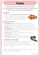 Vorschau - Merkblätter - Wirbeltiere - Seite 2