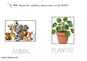 Vista previa - Hojas de trabajo - Cuaderno TEACCH de los SERES VIVOS - página 3