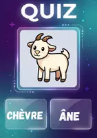 Aperçu - Jeux - Cahier de Quiz – Les Animaux | 73 Fiches Imprimables | Choisissez le Bon Mot | FLE - Page 3