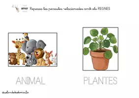 Vista previa - Hojas de trabajo - Quadern TEACCH dels ÉSSERS VIUS - página 3