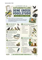 Vorschau - Stundenentwürfe - Vögel – Forschungsprojekt mit Plakatgestaltung - Seite 3