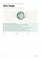 Vorschau - Merkblätter - Das Auge – Biologie Lernheft Aufbau & Sehen - Seite 1