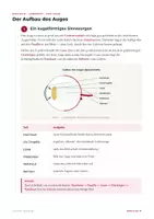 Vorschau - Merkblätter - Das Auge – Biologie Lernheft Aufbau & Sehen - Seite 2