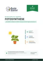 Vorschau - Stundenentwürfe - Biologie: Fotosynthese - Klasse 5/6 - Deckblatt