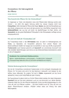 Vorschau - Stundenentwürfe - Biologie: Fotosynthese - Klasse 5/6 - Seite 2