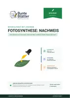 Vorschau - Stundenentwürfe - Materialpaket: Aufbau von Samenpflanzen und Fotosynthese - Seite 1