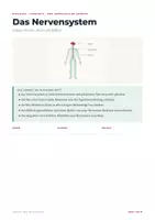 Vorschau - Arbeitsblätter - Das Nervensystem – Lernheft Biologie - Seite 1