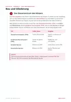 Vorschau - Arbeitsblätter - Das Nervensystem – Lernheft Biologie - Seite 2