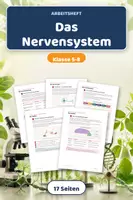 Vorschau - Arbeitsblätter - Das Nervensystem – Lernheft Biologie - Deckblatt