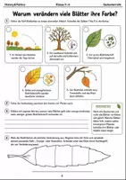 Vorschau - Arbeitsblätter - Herbst-Lernmalbuch Klasse 5–6 - Seite 3