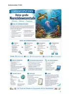 Vorschau - Stundenentwürfe - Meereslebewesen, Forschungsprojekt mit Plakatgestaltung - Seite 2