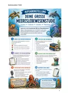 Vorschau - Stundenentwürfe - Meereslebewesen, Forschungsprojekt mit Plakatgestaltung - Seite 3